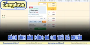 Cách Tính Kèo Bóng Đá Chi Tiết Và Chuẩn Từ Chuyên Gia 9 cách tính kèo bóng đá