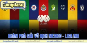 Giải Vô Địch Mexico - Lịch Sử Và Cấu Trúc Của Giải Đấu 3 Giải vô địch Mexico
