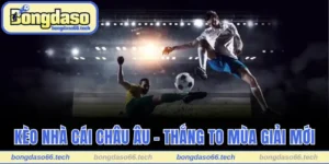 Kèo Nhà Cái Châu Âu - Đọc Hiểu Và Thắng To Mùa Giải Mới 1 Kèo nhà cái Châu Âu