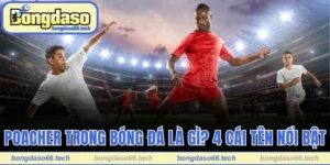 Poacher Trong Bóng Đá Là Gì? Top 4 Cái Tên Nổi Bật Nhất 10 Poacher trong bóng đá là gì