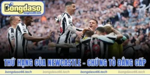 Thứ Hạng Của Newcastle - Hành Trình Chinh Phục Vinh Quang 8 Thứ Hạng Của Newcastle