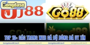 Top 10+ Các Trang Web Cá Độ Bóng Đá Uy Tín Nhất Năm 2025 3 top 10+ các trang web cá độ bóng đá uy tín